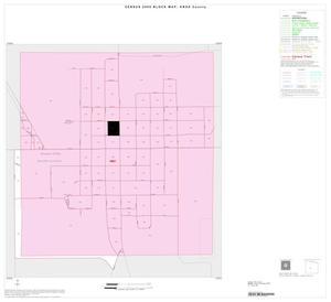 2000 Census County Block Map: Knox County, Inset B01