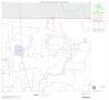 Map: 2000 Census County Block Map: Concho County, Block 2