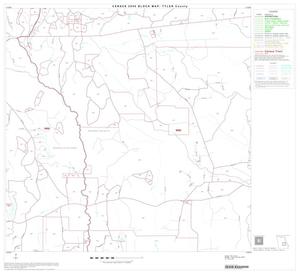 2000 Census County Block Map: Tyler County, Block 10
