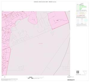 2000 Census County Block Map: Webb County, Inset B06