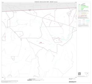2000 Census County Block Map: Webb County, Block 11