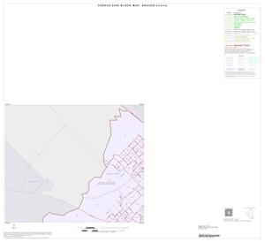 2000 Census County Block Map: Brazos County, Inset B01