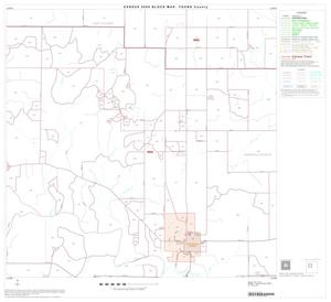 2000 Census County Block Map: Young County, Block 6