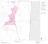 Map: 2000 Census County Block Map: Jasper County, Block 17