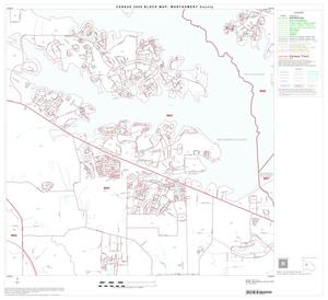 2000 Census County Block Map: Montgomery County, Block 17