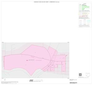 2000 Census County Block Map: Cameron County, Inset I01