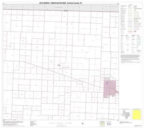 2010 Census County Block Map: Cochran County, Block 2