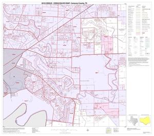2010 Census County Block Map: Cameron County, Block 61