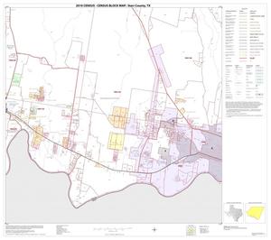 2010 Census County Block Map: Starr County, Block 23
