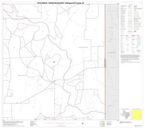 Primary view of object titled '2010 Census County Block Map: Collingsworth County, Block 12'.