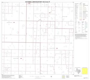 Primary view of object titled '2010 Census County Block Map: Hale County, Block 11'.