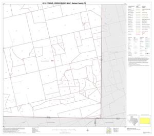 Primary view of object titled '2010 Census County Block Map: Gaines County, Block 15'.