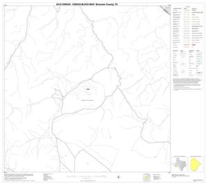 2010 Census County Block Map: Brewster County, Block 13