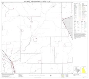 2010 Census County Block Map: Live Oak County, Block 4