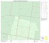 Map: 2010 Census County Block Map: Hidalgo County, Inset G01