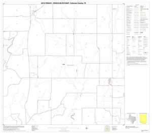2010 Census County Block Map: Coleman County, Block 18