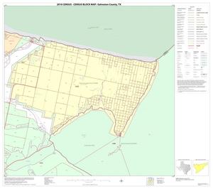 2010 Census County Block Map: Galveston County, Block 15