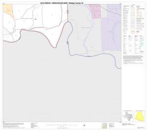2010 Census County Block Map: Hidalgo County, Block 118