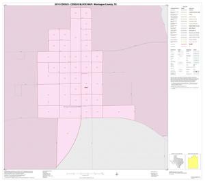 2010 Census County Block Map: Montague County, Inset D01
