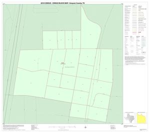 2010 Census County Block Map: Grayson County, Inset P01