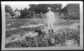 Photograph: [J.P.Carter standing in a field of watermelons at the J P Carter farm]