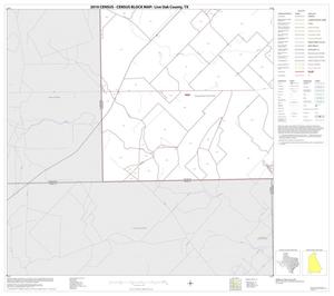 2010 Census County Block Map: Live Oak County, Block 17