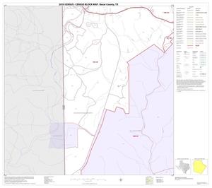 Primary view of object titled '2010 Census County Block Map: Bexar County, Block 13'.