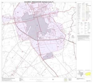 Primary view of object titled '2010 Census County Block Map: Washington County, Block 25'.