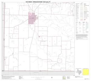 Primary view of object titled '2010 Census County Block Map: Hall County, Block 13'.