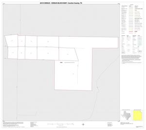 2010 Census County Block Map: Concho County, Inset B01