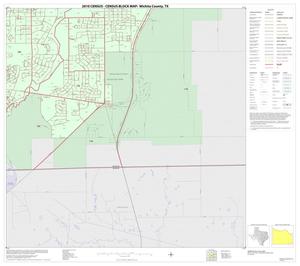 2010 Census County Block Map: Wichita County, Inset E06