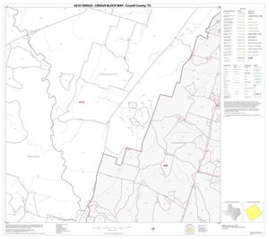 2010 Census County Block Map: Coryell County, Block 17