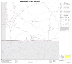 2010 Census County Block Map: Sutton County, Block 19