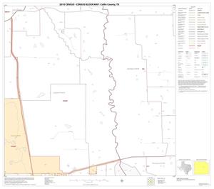 2010 Census County Block Map: Collin County, Block 46