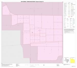 2010 Census County Block Map: Grayson County, Inset D01