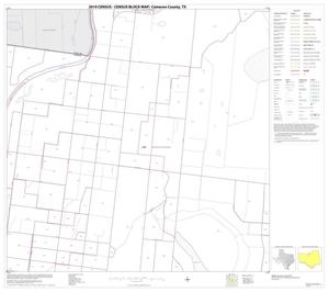 2010 Census County Block Map: Cameron County, Block 17