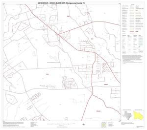 2010 Census County Block Map: Montgomery County, Block 31