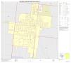 Thumbnail image of item number 1 in: '2010 Census County Block Map: Brooks County, Inset A01'.