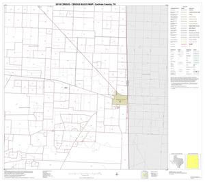 2010 Census County Block Map: Cochran County, Block 6