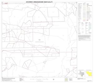 2010 Census County Block Map: Webb County, Block 49