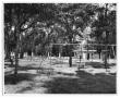 Thumbnail image of item number 1 in: '[City Park in Orange]'.
