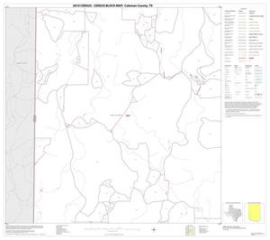 2010 Census County Block Map: Coleman County, Block 13