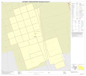 2010 Census County Block Map: Montgomery County, Inset B01