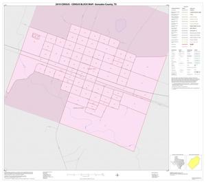 2010 Census County Block Map: Gonzales County, Inset B01