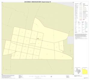 2010 Census County Block Map: Grayson County, Inset M01