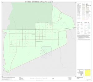 2010 Census County Block Map: Palo Pinto County, Inset C01