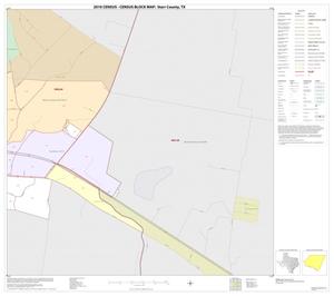 2010 Census County Block Map: Starr County, Inset C02