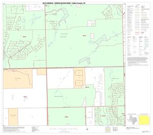 2010 Census County Block Map: Collin County, Block 41
