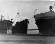 Photograph: [The Bows of Three Ships]