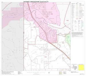 2010 Census County Block Map: Tarrant County, Block 17